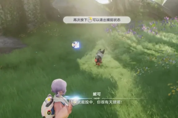 伊莫怎么抓宠物,伊莫手游抓宠物玩法介绍