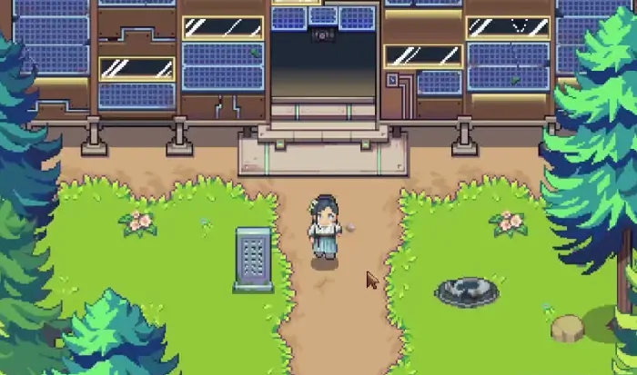 江城创业记：茴参采集点独家揭秘