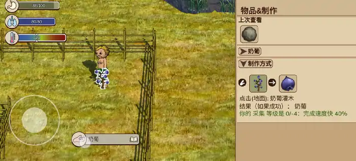村落人生游戏类型介绍,村落人生是什么类型的游戏