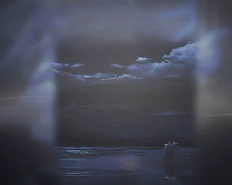 花雨旋律中央车站24乐谱收集攻略,花雨旋律中央车站24乐谱位置一览