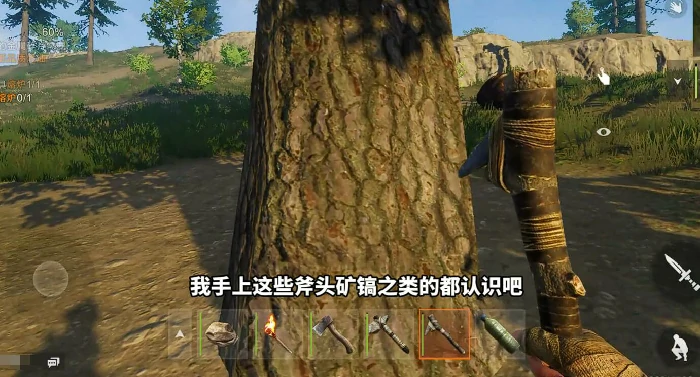 失控进化开局速成指南：高效发育技巧大公开