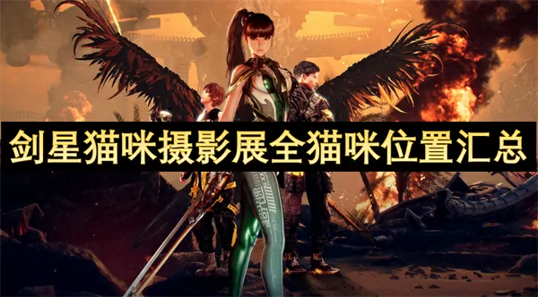 剑星猫咪位置全收集终极攻略