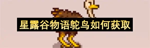星露谷物语鸵鸟获取秘笈轻松上手