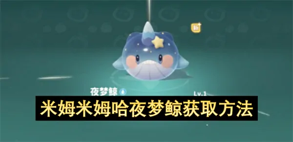 夜梦鲸获取攻略：3步轻松入手稀有米姆
