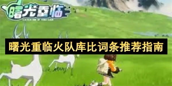 火队必学！库比最强词条毕业攻略（曙光重临）
