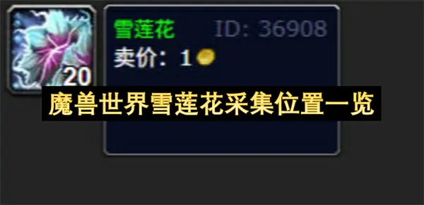 魔兽世界雪莲花位置全曝光高效采集必看攻略