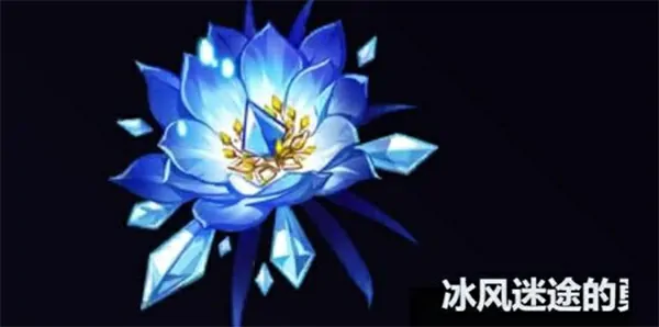 原神丝柯克圣遗物选择推荐,原神丝柯克圣遗物怎么选择,原神,原神