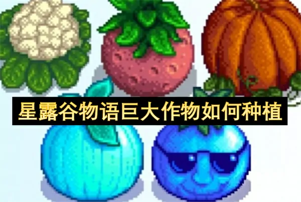 星露谷物语巨大作物种植秘招轻松搞定