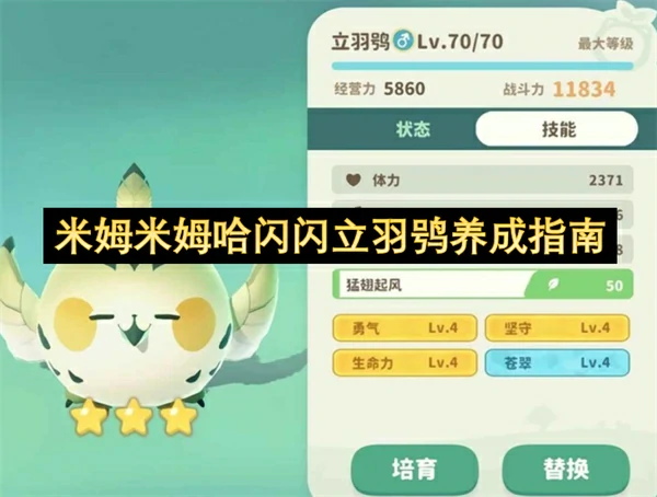 超实用立羽鸮养成攻略：从零开始轻松上手
