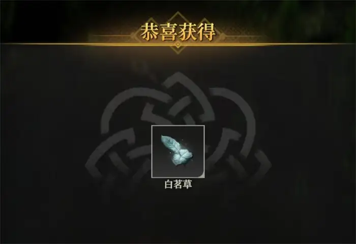 地下城堡4白茗草在哪 地下城堡4白茗草位置详解,地下城堡4骑士与破碎编年史