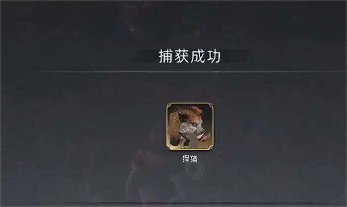 荒原曙光猪坐骑怎么抓 荒原曙光猪坐骑抓捕攻略,荒原曙光