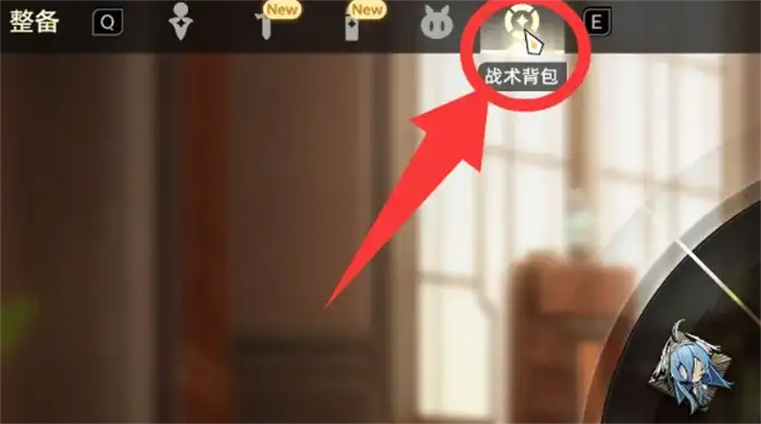 二重螺旋协同伙伴怎么设置 二重螺旋协同伙伴玩法攻略,二重螺旋