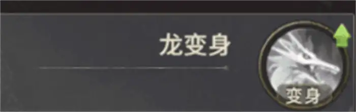 奇迹世界起源龙骑士攻略 奇迹世界起源龙骑士技能加点攻略,奇迹世界起源
