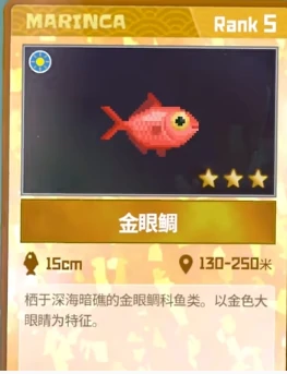 潜水员戴夫金眼鲷捕捉方法2