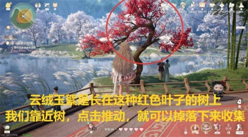 无限暖暖采集玉絮清洁白鹭任务详细完成步骤一览