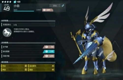 圣光骑士