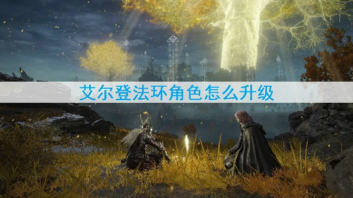 老头环速升指南：角色快速变强技巧