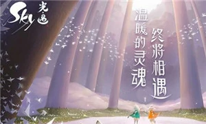 光遇