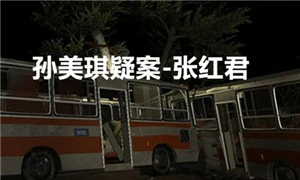 张红君
