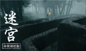 孙美琪疑案：迷宫