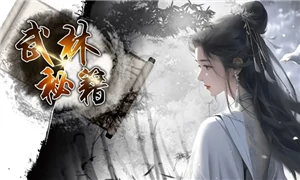 武林秘籍